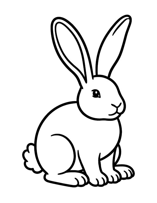 Bold & Easy Animal Coloring Pages for Seniors & Beginners page 3
