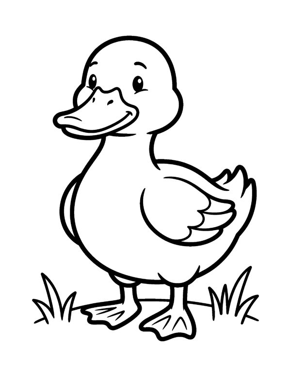 Bold & Easy Animal Coloring Pages for Seniors & Beginners page 4