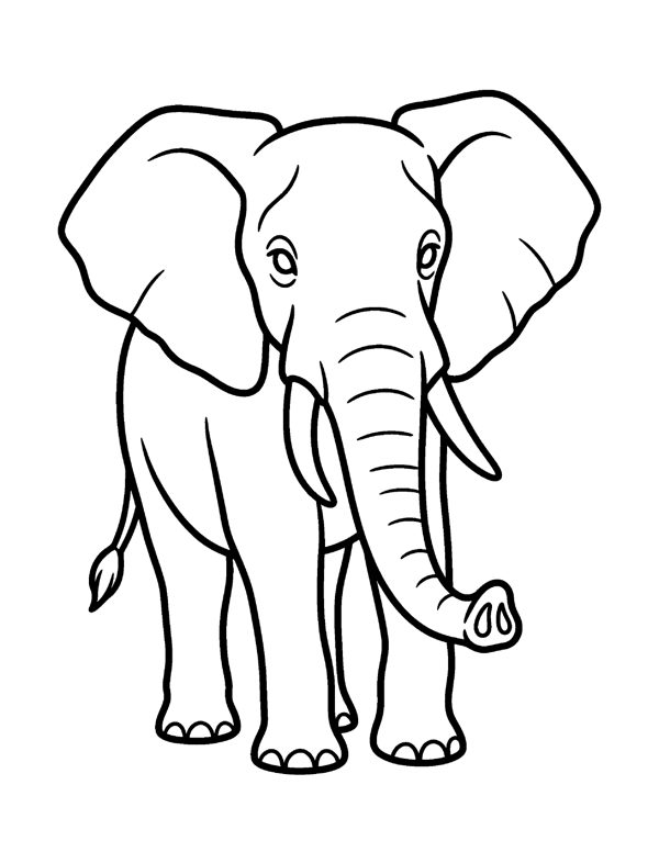 Bold & Easy Animal Coloring Pages for Seniors & Beginners page 13