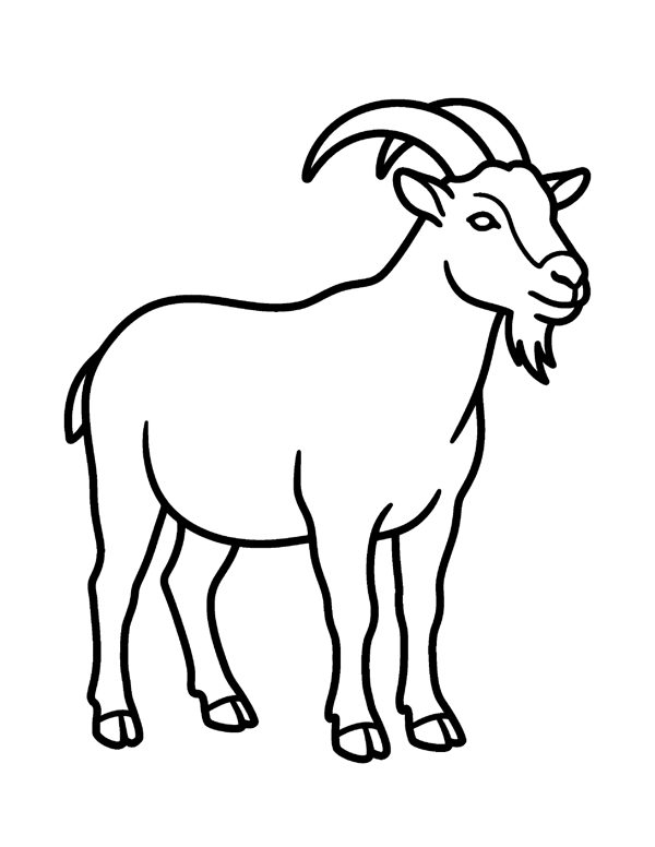 Bold & Easy Animal Coloring Pages for Seniors & Beginners page 19