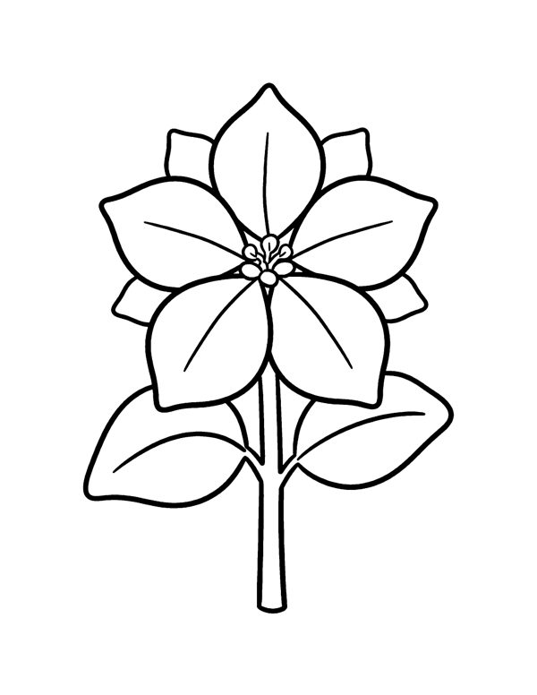 Bold & Easy Christmas Coloring Pages Vol. 2 free sample