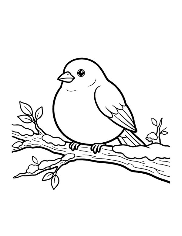 Bird Branch Snow Coloring Page - Bold & Easy Christmas Coloring Pages Vol. 2