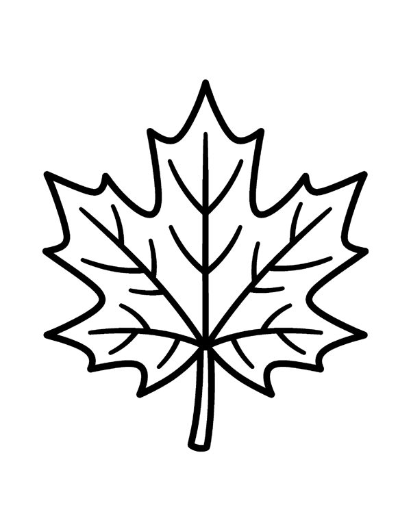 Maple Leaf Big Coloring Page - Bold & Easy Fall Coloring Pages