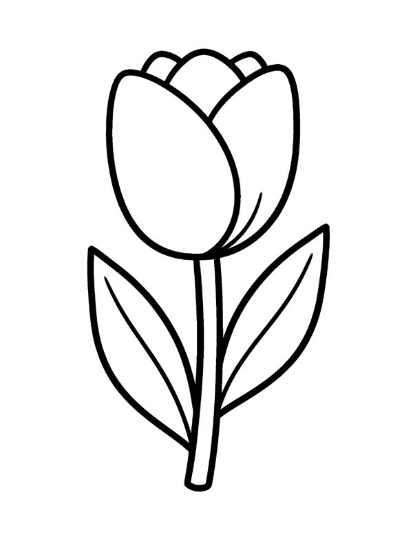 Bold & Easy Flower Coloring Pages for Seniors & Beginners
