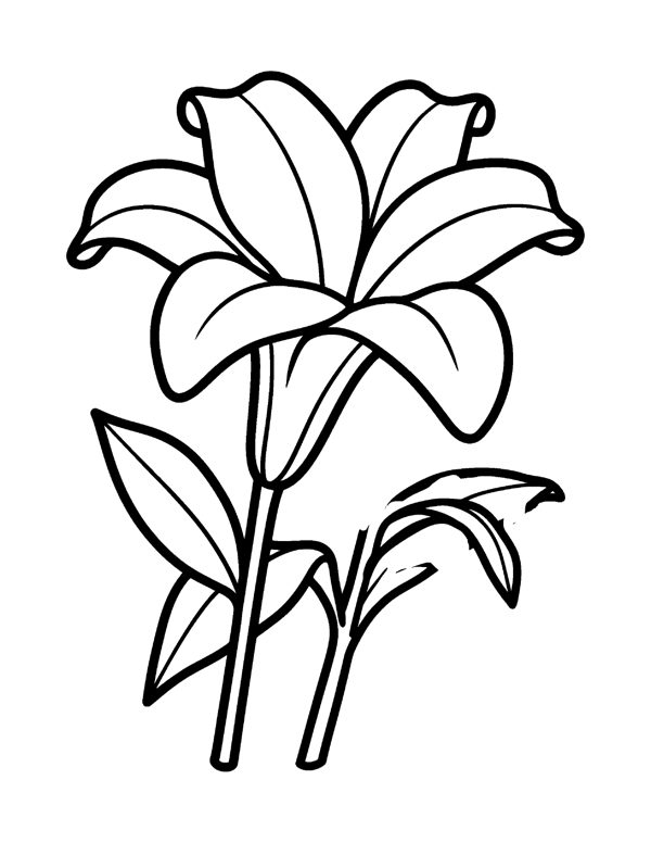 Bold & Easy Flower Coloring Pages for Seniors & Beginners page 4