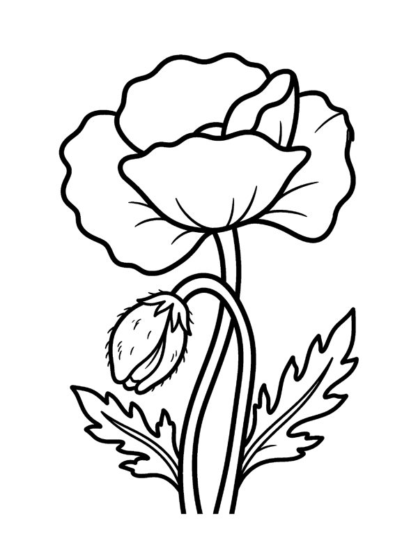 Bold & Easy Flower Coloring Pages for Seniors & Beginners page 5