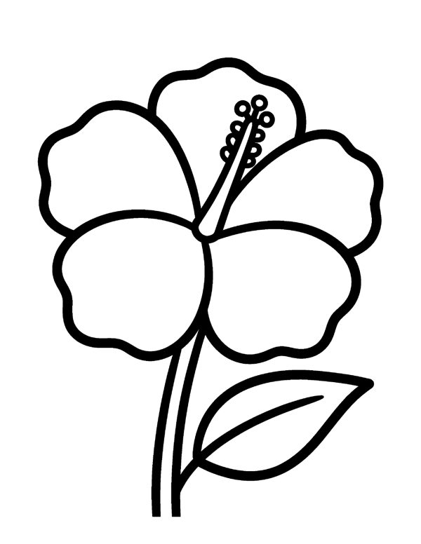 Bold & Easy Flower Coloring Pages for Seniors & Beginners page 6