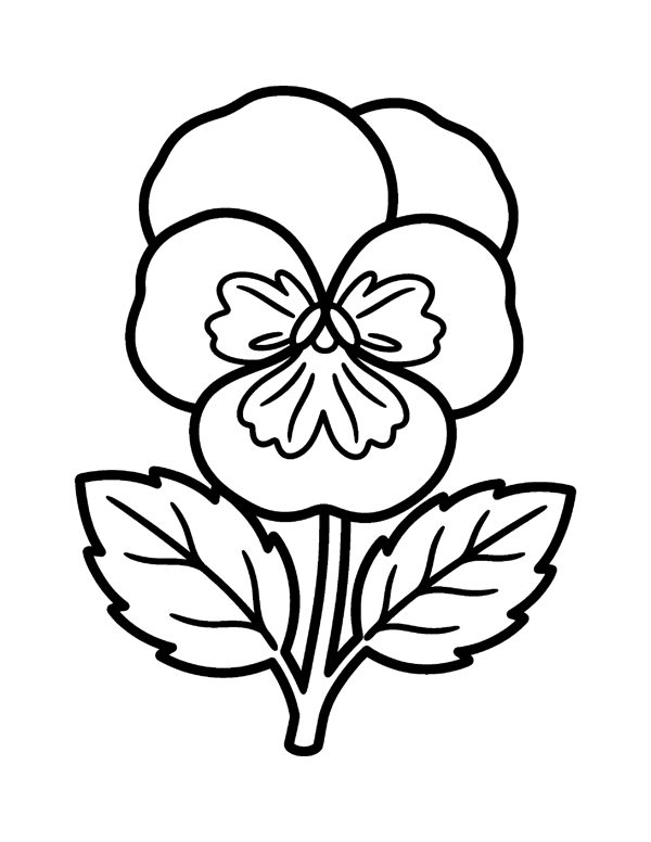 Bold & Easy Flower Coloring Pages for Seniors & Beginners page 8