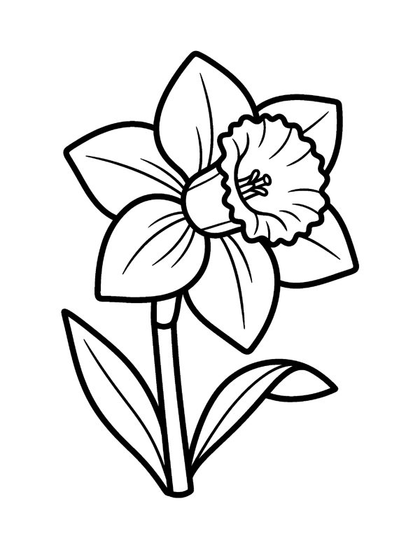 Bold & Easy Flower Coloring Pages for Seniors & Beginners page 9