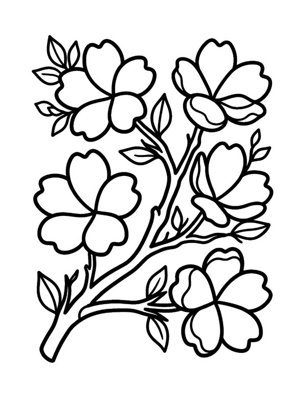 Bold & Easy Flower Coloring Pages for Seniors & Beginners page 10