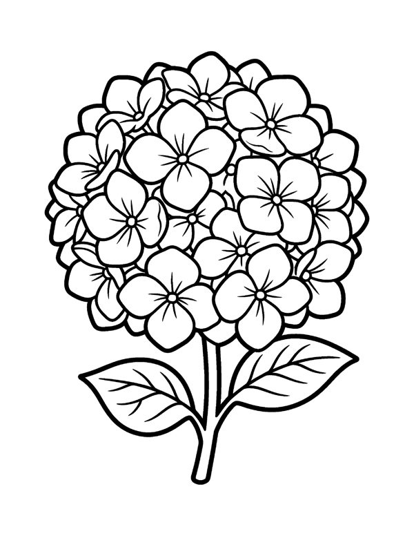 Bold & Easy Flower Coloring Pages for Seniors & Beginners page 11
