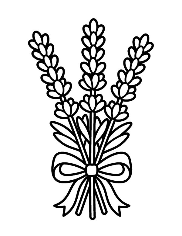 Bold & Easy Flower Coloring Pages for Seniors & Beginners page 12