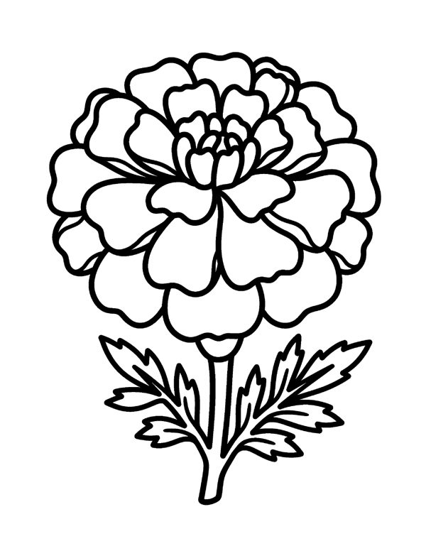 Bold & Easy Flower Coloring Pages for Seniors & Beginners page 13