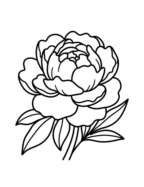 Bold & Easy Flower Coloring Pages for Seniors & Beginners page 15