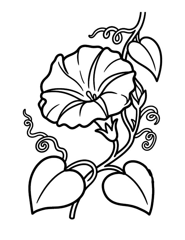 Bold & Easy Flower Coloring Pages for Seniors & Beginners page 16