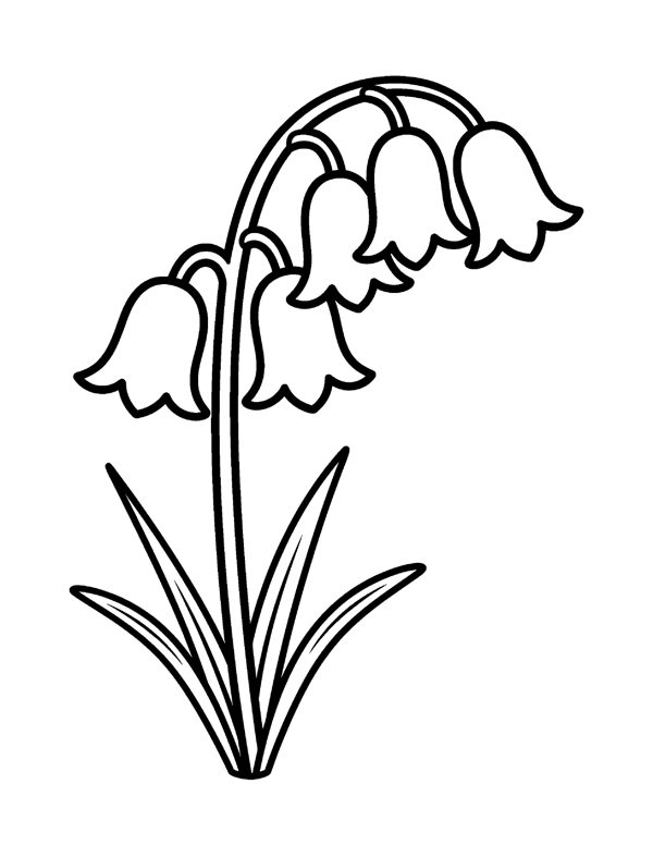 Bold & Easy Flower Coloring Pages for Seniors & Beginners page 20