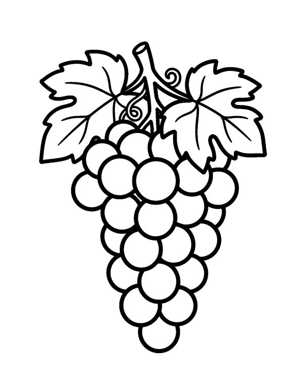 Bold & Easy Fruit & Vegetable Coloring Pages for Seniors & Beginners page 6