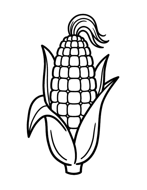 Bold & Easy Fruit & Vegetable Coloring Pages for Seniors & Beginners page 13