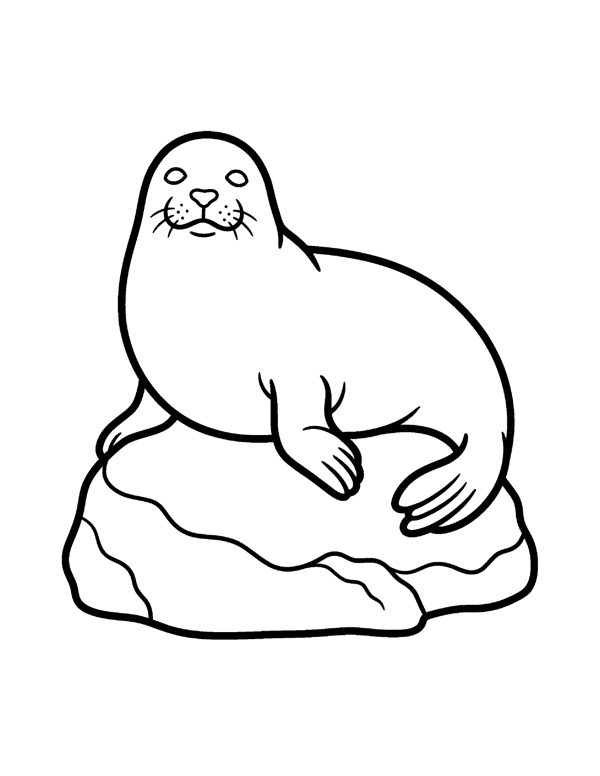 Bold & Easy Ocean Coloring Pages for Seniors & Beginners page 13