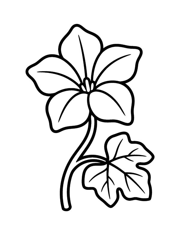 Bold & Easy Pumpkin Coloring Pages page 14