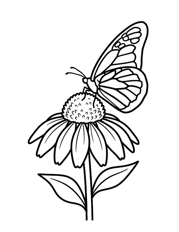 20 Bold & Easy Large Print Coloring Pages for Seniors & Beginners page 10