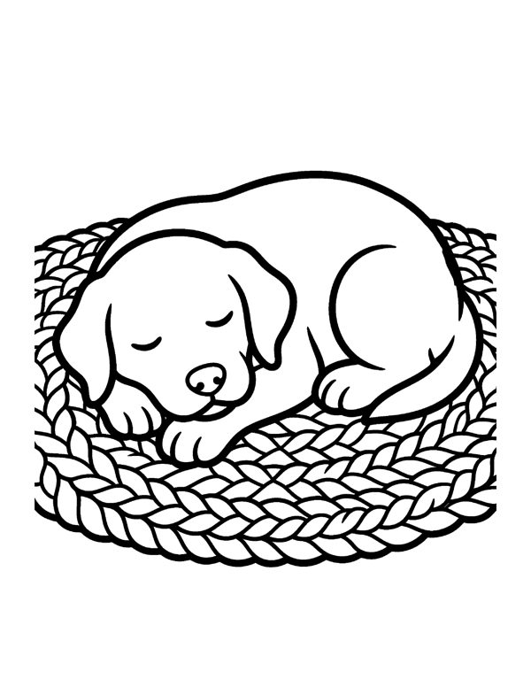20 Bold & Easy Large Print Coloring Pages for Seniors & Beginners page 14