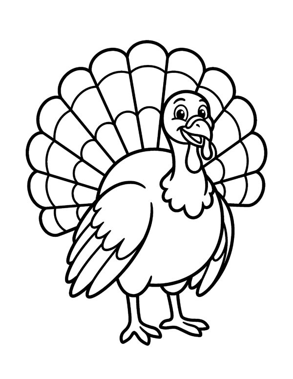 Bold & Easy Thanksgiving Coloring Pages for Seniors & Beginners