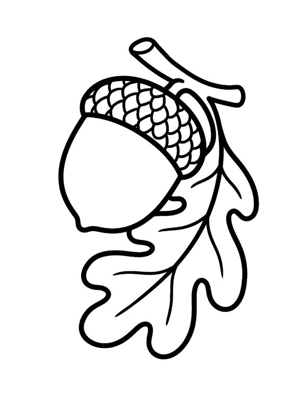 Bold & Easy Thanksgiving Coloring Pages for Seniors & Beginners page 5