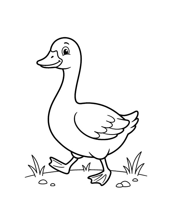 Farm Animals Coloring Pages for Kids page 17