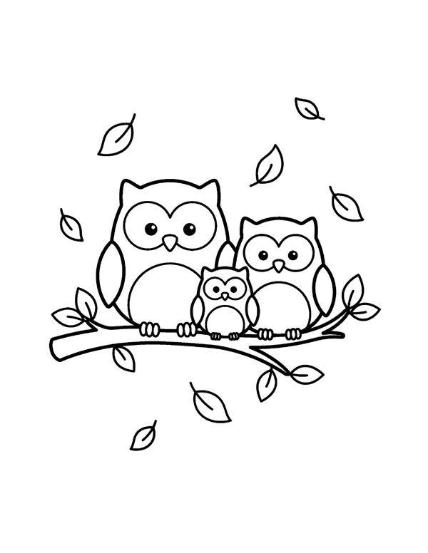 Owl Family Branch Coloring Page - Thanksgiving Coloring Pages