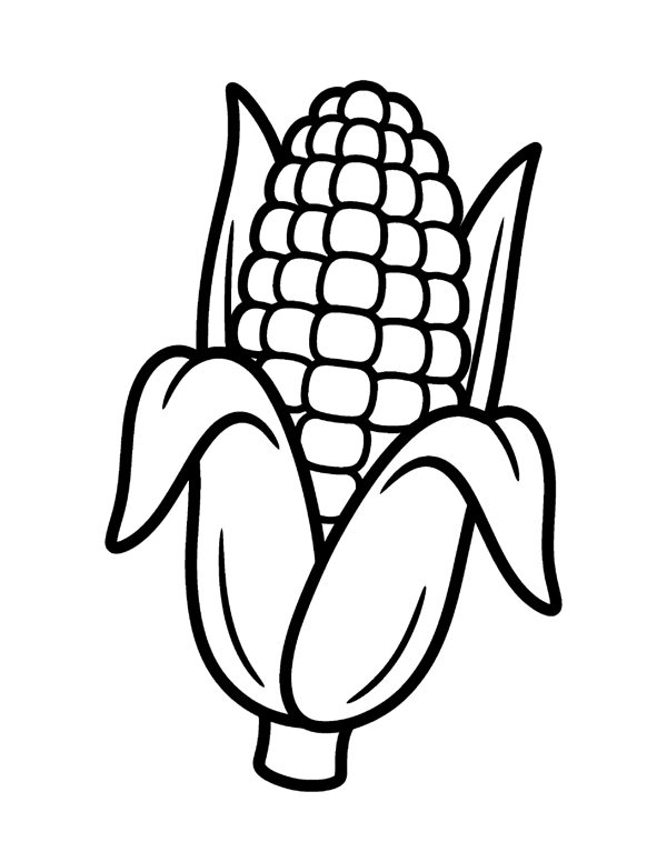 Corn Ear Coloring Page - Thanksgiving Coloring Pages